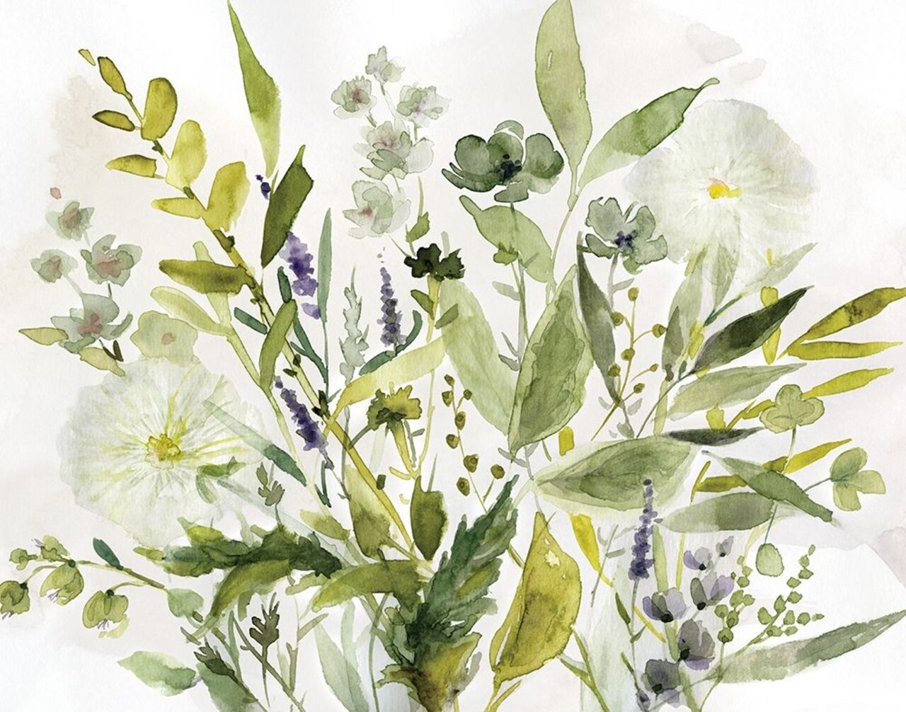 Olive Greens Poster Print by Carol Robinson - Item # VARPDX40355